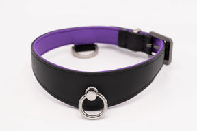 Collar Black Purple