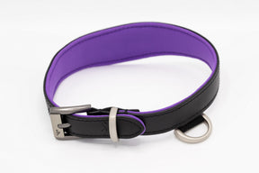 Collar Black Purple